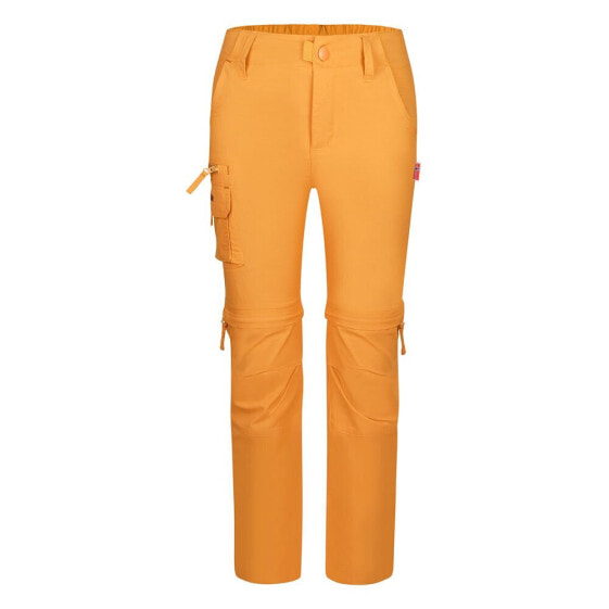 TROLLKIDS Oppland pants