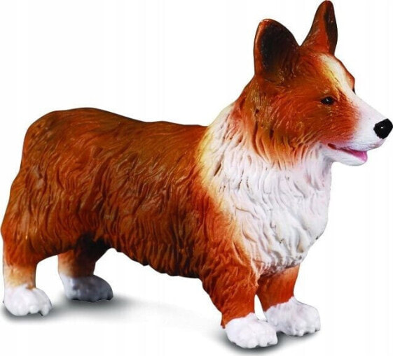 Figurka Collecta PIES WELSH CORGI (M)