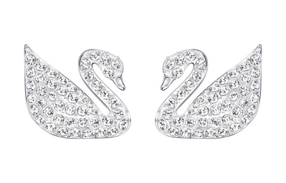 Swarovski Swan 5161256 Crystal Earrings