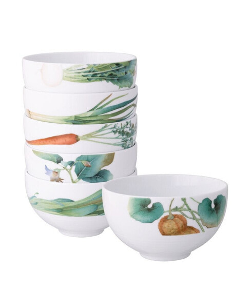 Kyoka Shunsai Bowls 21 oz Set/6