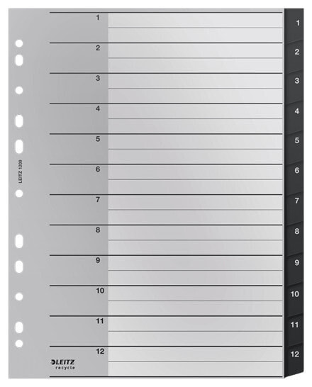 Esselte Leitz 12090000 - Blank tab index - Polypropylene (PP) - Black - White - Portrait - A4 - 160 g/m²