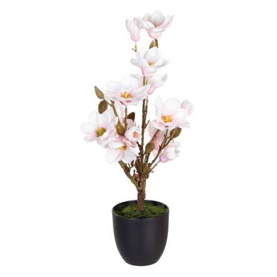 Декоративное растение BB Home Magnolia 30 x 30 x 60 см