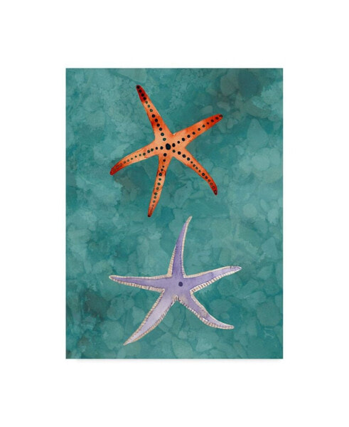 Alicia Ludwig Twin Starfish III Canvas Art - 20" x 25"