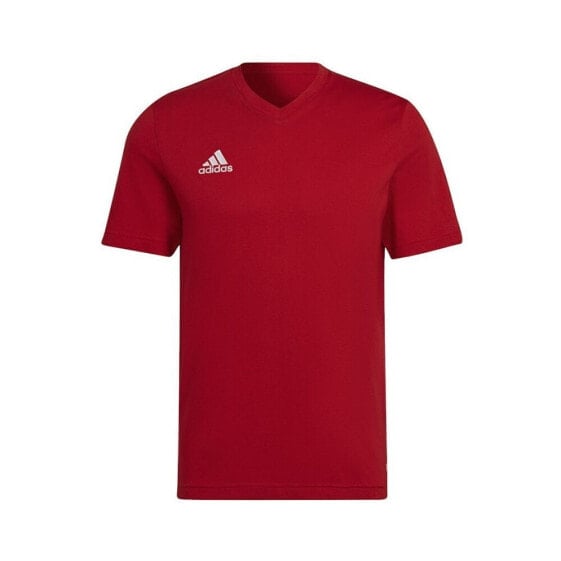 Футболка мужская Adidas Entrada 22