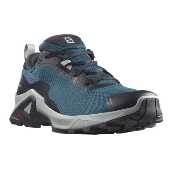 Salomon X Reveal 2 Gtx