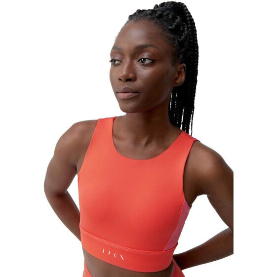 BORN LIVING YOGA Latika Sports Top High Support