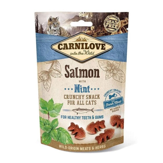 CARNILOVE 50g cat food with salmon and mint 10 units