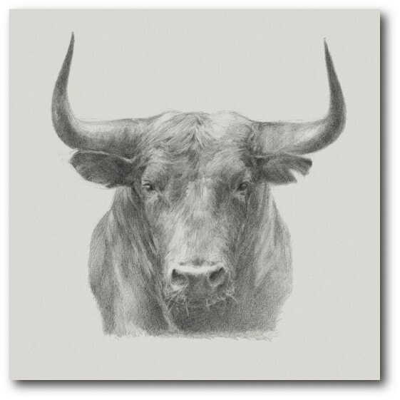 Black Bull Gallery-Wrapped Canvas Wall Art - 16" x 16"