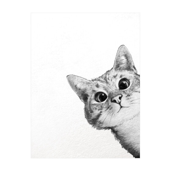 Katze Zeichnung Schwarz Weiß