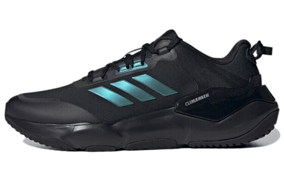 Обувь спортивная Adidas Climawarm Cruiser GZ6071