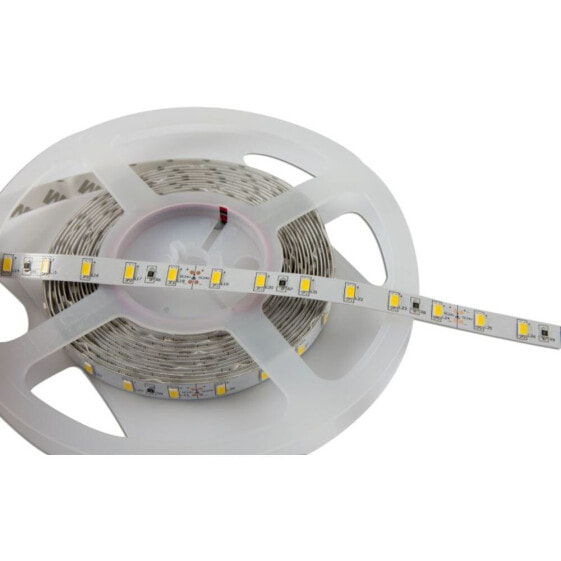 Synergy 21 S21-LED-F00030 - Universal strip light - Indoor - Ambience - IP20 - Warm white - 300 bulb(s)