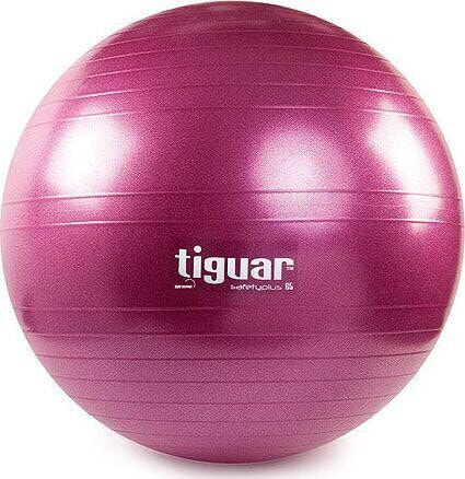 Мяч для занятий спортом Tiguar Боди Бол Сейфти Плюс 65см фиолетовый