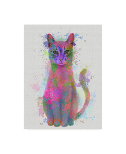 Fab Funky Cat Rainbow Splash 4 Canvas Art - 27" x 33.5"