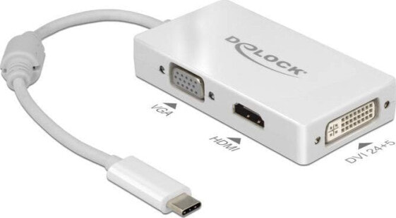 Stacja/replikator Delock USB-C (63924)