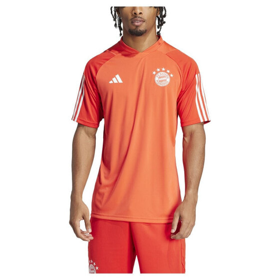 ADIDAS Bayern Munich 23/24 Short Sleeve T-Shirt Training