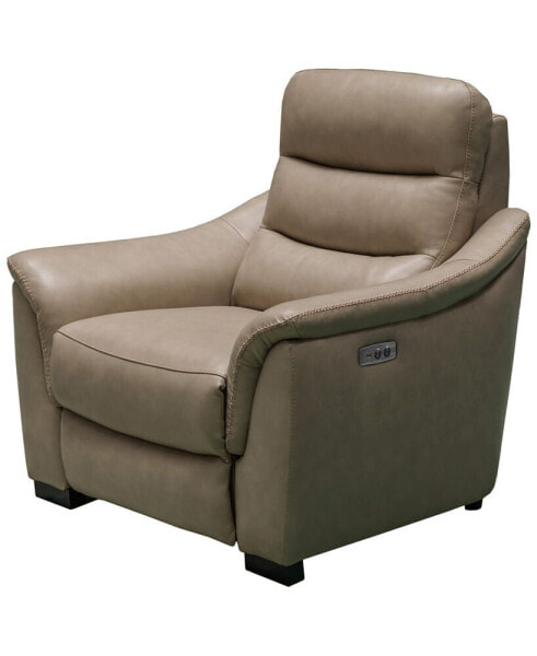Shelly Leather Power Recliner