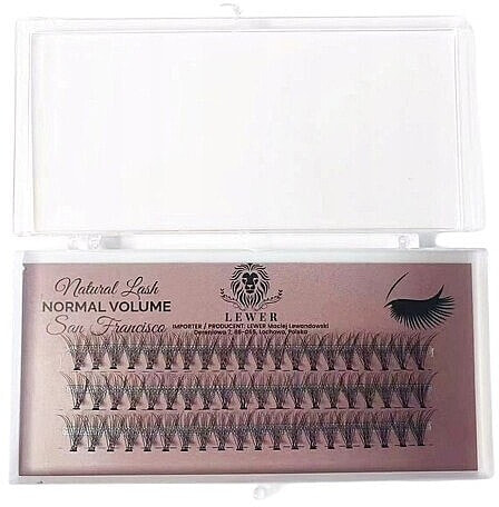 Lewer Natural Lash Normal Volume San Francisco