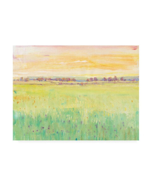 Tim O'Toole Spring Pasture II Canvas Art - 15.5" x 21"