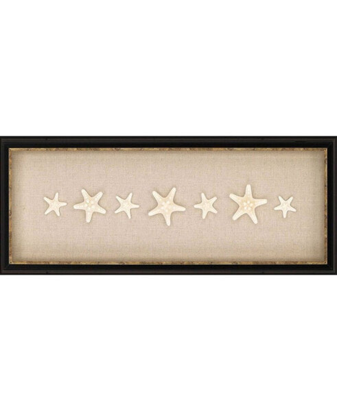 Paragon Knobby Starfish Framed Wall Art, 12" x 31"