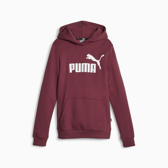 PUMA Ess Logo Fl G hoodie