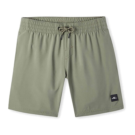 O´NEILL Future Surf Society 14´´ Swimming Shorts