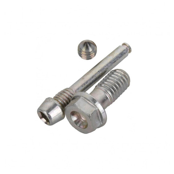 FORMULA R1 2012 brake caliper screw set