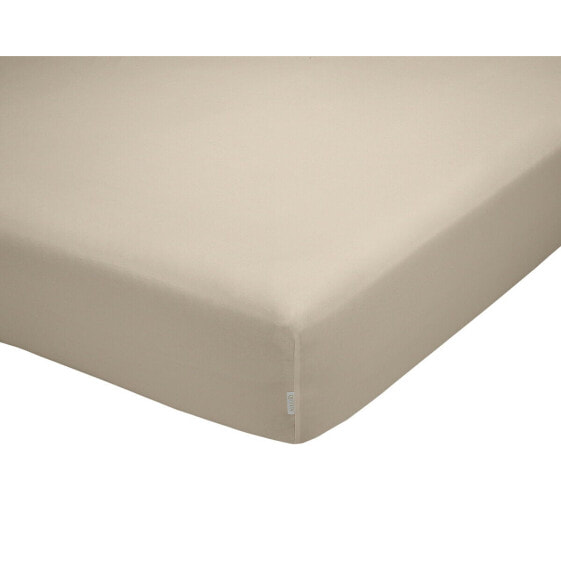 Fitted sheet Alexandra House Living QUTUN Taupe 105 x 200 cm