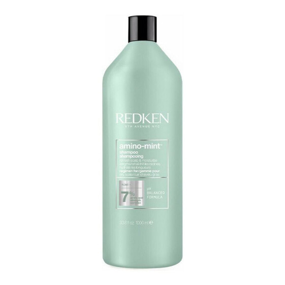 Шампунь Redken Amino Mint 1 L