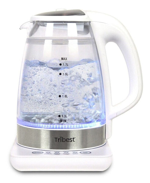 Double-Walled Electric Glass Raw Tea Kettle