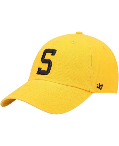 Men's Gold Pittsburgh Steelers Clean Up Alternate Adjustable Hat