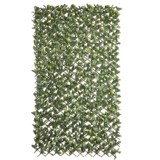 Целозия Natural Laurel плетеный Бамбук 2 x 200 x 100 cm