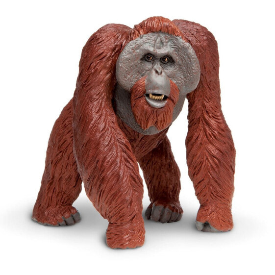 Фигурка Safari Ltd Bornean Orangutan Figure Wild Safari (Дикая Сафари)