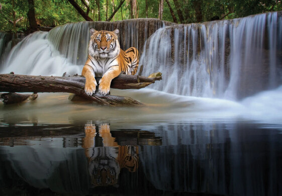 Vinyl Fototapete Tiger Wasserfall Natur
