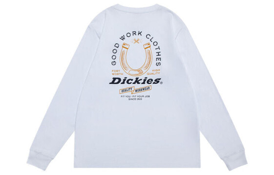 Футболка Dickies logoT DK009571C4D