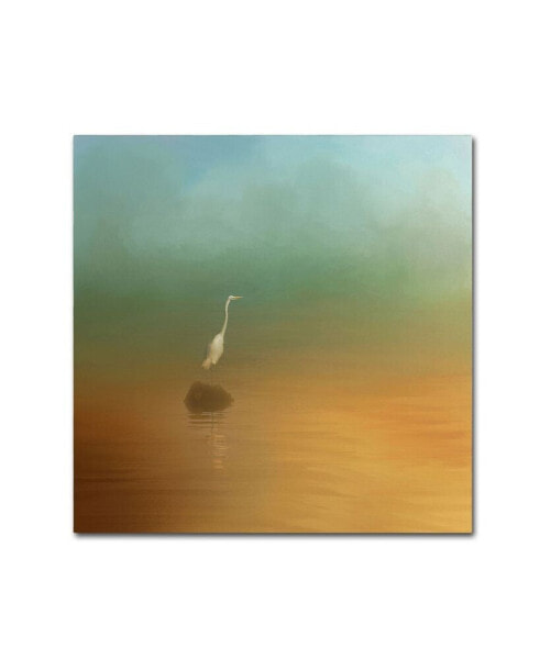 Jai Johnson 'Egret at Sea' Canvas Art - 14" x 14" x 2"