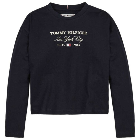 Футболка мужская Tommy Hilfiger Tommy Script.