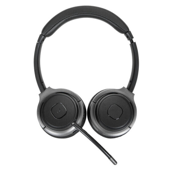 AEH104GL - Wired & Wireless - Calls/Music - 160 g - Headset - Black