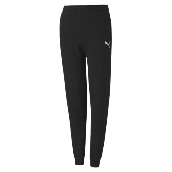 PUMA Teamgoal 23 Casuals Pants