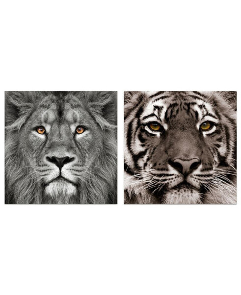 King of the Jungle Lion Eye of the Tiger Frameless Free Floating Tempered Glass Panel Graphic Wall Art, 38" x 38" x 0.2"