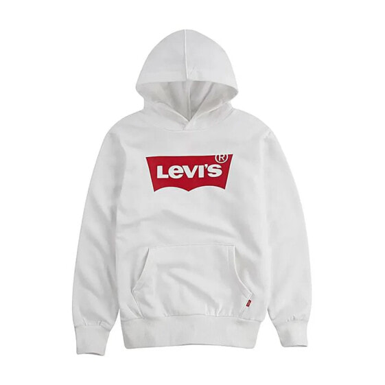 LEVI´S ® KIDS Batwing Screenprint hoodie