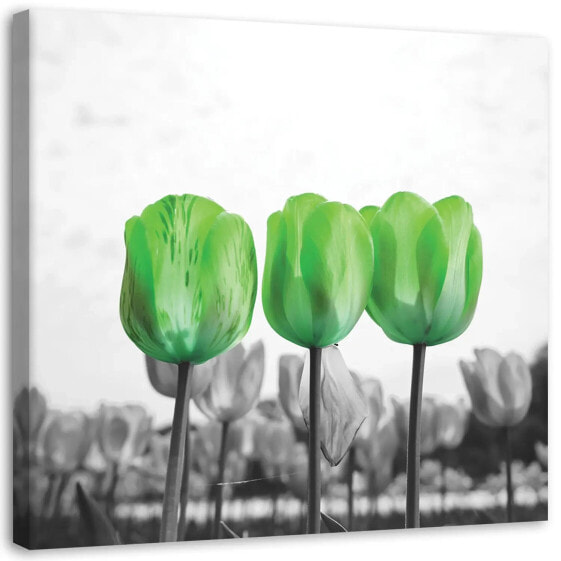 Wandbilder Grüne Tulpen Blumen Pflanzen