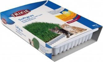 Лакомство для кошек TRIXIE Трава для кота в контейнере 100 г