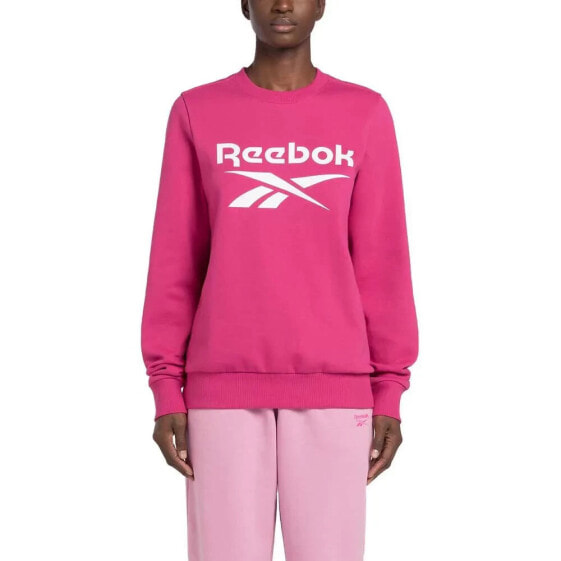 REEBOK Identity Big Logo sweatshirt