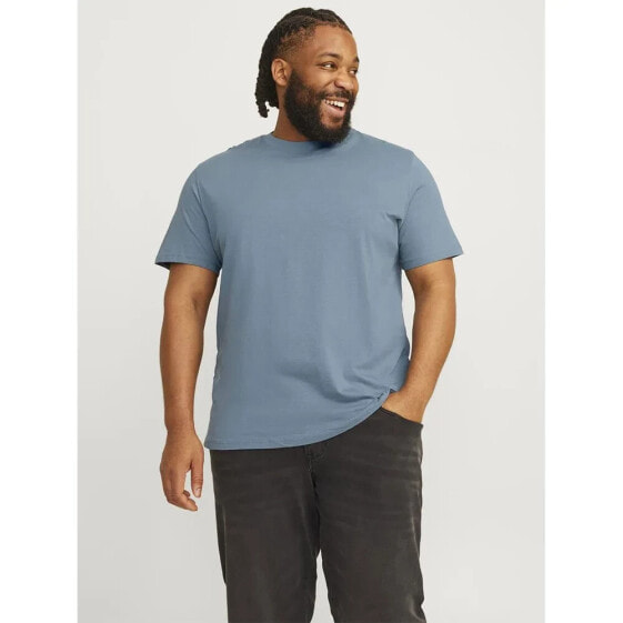 JACK & JONES Bradley Plus Size short sleeve T-shirt