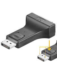 Wentronic DisplayPort/DVI-D Adapter 1.1 - gold-plated - Black - DisplayPort - DVI-D - Black