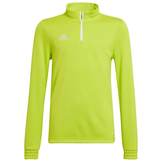 ADIDAS Entrada 22 Training sweatshirt