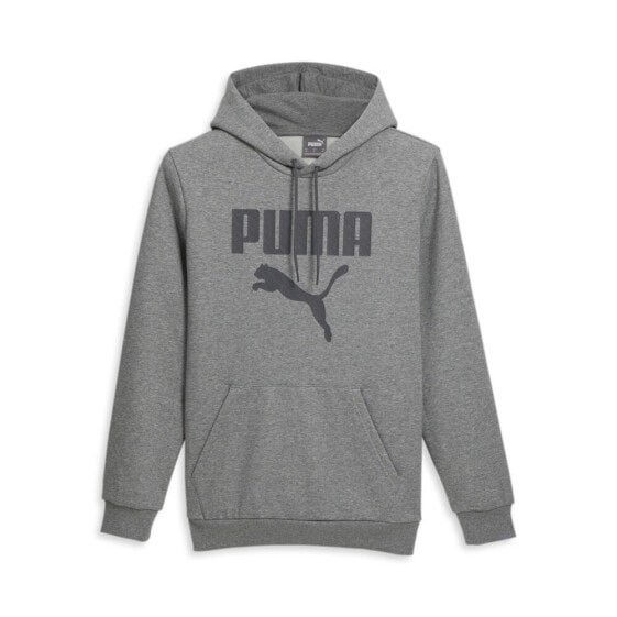 Худи Puma Framed Up Pullover Grey