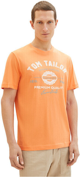 Футболка Tom Tailor Ombre Stripes