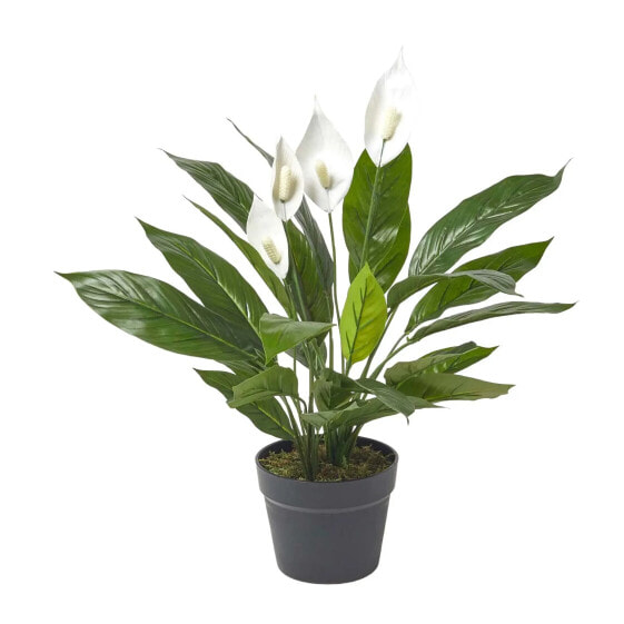 Kunstpflanze Spathiphyllum Wallisii