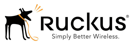 Ruckus 823-R720-1000 - 1 year(s)